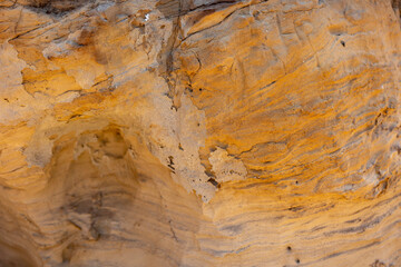 Textured rock surface displays rich colors and patterns in natural setting during daylight hours