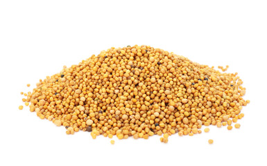 Pile of aromatic mustard seeds isolated on white