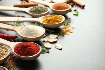 Many different spices in spoons on grey table, closeup. Space for text