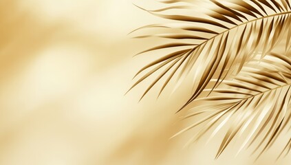 Blurred Silhouette of a Palm Leaf on a Beige Background Minimalistic Banner with Copy Space