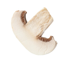 Fototapeta premium One piece of fresh mushroom isolated on white