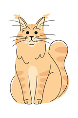 Maine-Coon cat hand drawn doodle