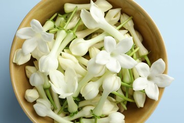 Beautiful jasmine flowers in bowl on light blue background, top view