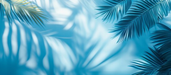 Tropical summer banner with abstract palm shadows and blue water waves