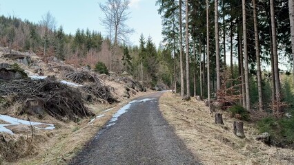 A Beautiful, Scenic Forest Path Covered with Snow and Debris in a Natural Setting