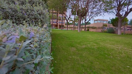 Obraz premium A Lush Green Garden Framed by Tall Trees and Modern Contemporary Buildings Nearby