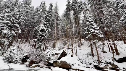 Frozen mountain river with waterfall and winter snowy forest. Sounds of nature