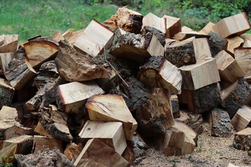 Stack of newly cut firewood drying in the open air