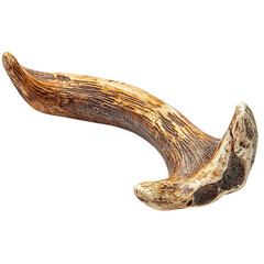 Pet Safe Antler Chew Toy Natural Browns and Durable Isolated on Transparent Background