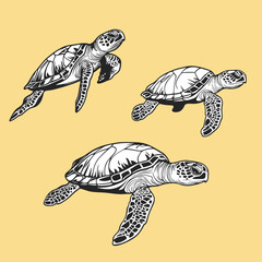 Fototapeta premium Three Sea Turtles Swimming Illustration on Yellow Background
