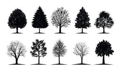 Fototapeta premium Diverse tree silhouettes showcase varying leaf patterns and shapes against a white background.