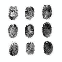 Collection of unique fingerprints in a grid format, showcasing individuality and identification.