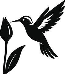 Feeding hummingbird outline art, Black and white bird nectar design