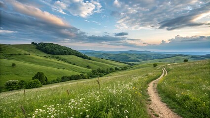peaceful green field with cloudy sky and natural scenery