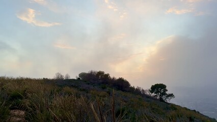 A Serene and Beautiful Landscape at Dusk, Accented by Gentle, Soft Clouds in the Sky