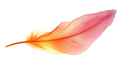 Delicate Feather With Vibrant Colors On Black Background, cut out transparent