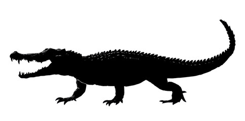 Fototapeta premium Crocodile Silhouette PNG
