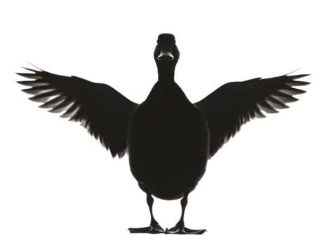 Duck Silhouette with Open Wings PNG