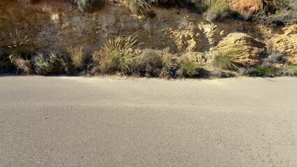 A scenic coastal cliff with lush vegetation and a smooth sand road inviting exploration