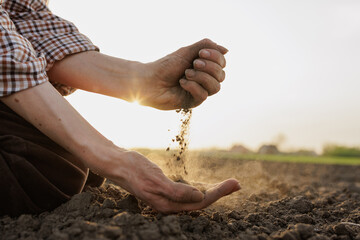 Hands holding dry soil at dawn, concept of agriculture, drought, land degradation and...