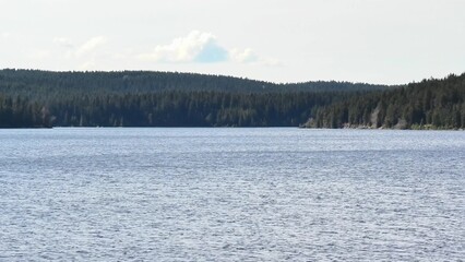 Experience the Serene and Picturesque Waterside View, Enveloped by a Lush, Verdant Forest