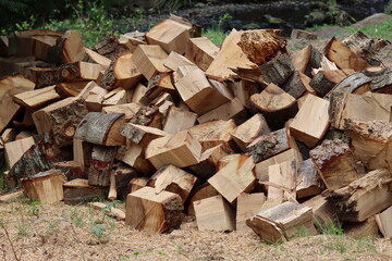 Stack of newly cut firewood drying in the open air
