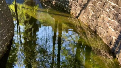 Experience Serene Reflections in a Tranquil Stream, Surrounded by Natures Wonders