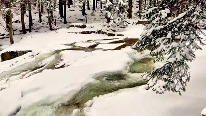 A Serene Winter Stream Beautifully Flowing Through a SnowCovered, Tranquil Forest Area