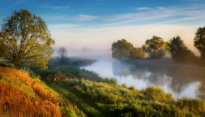 Fototapeta premium foggy morning landscape with river and trees