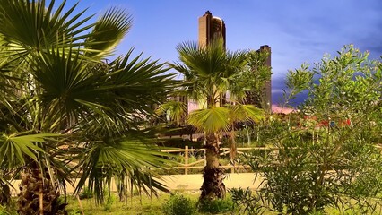 Obraz premium A tranquil and picturesque evening landscape showcasing palm trees along with charming ruins