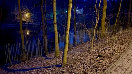 Fototapeta premium A Serene Night Walk by the Lake in the Enchanting Forest, Under the Stars and Moonlight