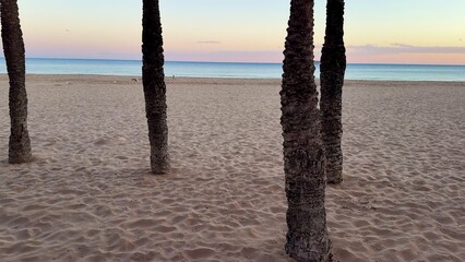 Fototapeta premium A Serene and Stunning Beach Sunset Scene Featuring Palm Trees Silhouetted Against a Colorful Sky