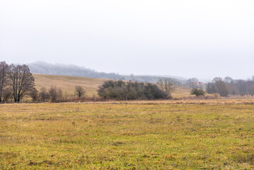 Winter landscape without snow in february. Landscape.