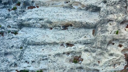 Explore the Ancient Stone Steps that are Surrounded by Beautiful Nature and Wilderness