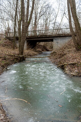 Landscape of an unusually snow-less february day in forest, frozen winter stream
