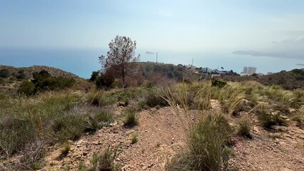 A picturesque, scenic coastal hill view adorned with abundant lush vegetation and greenery