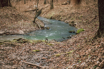 Landscape of an unusually snow-less february day in forest, frozen winter stream