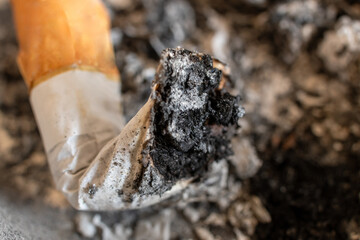 Macro photo of an extinguished cigarette in an ashtray .