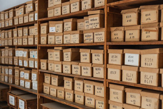 Numerous labeled cardboard boxes are neatly arranged on wooden shelves, suggesting a systematic filing system within an archive or storage facility.