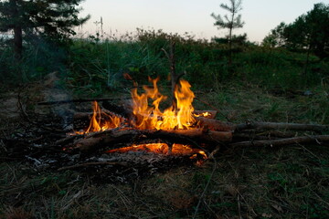 orange flame of fire at night in nature