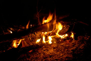 orange flame of fire at night in nature