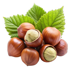hazelnuts isolated on white