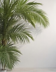 Fototapeta premium Crisp shadow of palm fronds on bright white wall, tropical vibe, tropical plant, summer