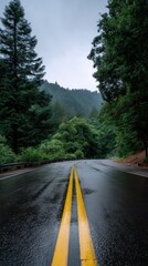 Fototapeta premium Winding road through dense forest with wet asphalt surface and yellow double lines on a foggy day