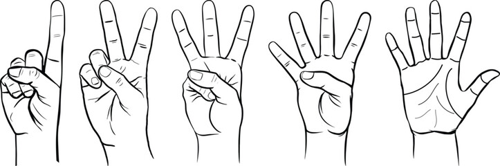Hand Gestures Counting from One to Five Illustration