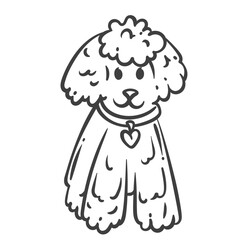 Fluffy poodle dog with curly fur and a heart tag on the collar, sitting and smiling. Monochrome outline in doodle cartoon style. For coloring pages, kids design, cards, or stickers. Poodle drawing.