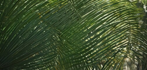 Emerald green palm frond, intricate veins, sunlit texture,  detail,  palm frond,  plant