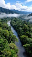 Dense tropical rainforest canopy with river flowing through misty mountain valley, natural beauty and serene landscapes