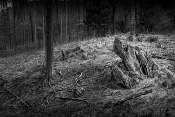 Large stone on side of hill