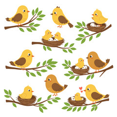 The Bird's Serenade: A charming cartoon illustration of cheerful songbirds perched on tree branches, embodying the essence of spring with a joyful nest and a sense of harmonious family life.